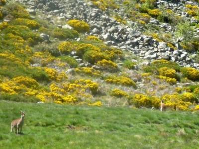 Laguna Grande,Garganta Gredos;la pedriza mapa callejones de las majadas pantano de navacerrada hoces